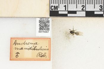 Media type: image;   Entomology 770367 Aspect: Labels